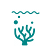environment environment